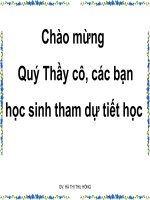 bài 6: đất nước nhiều đồi núi