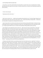 Cây tre trong tâm thức người Việt