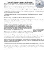 Vật lí và đời sống: