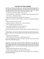 SỬ DỤNG PHẦN MỀM VIOLET-BT TN