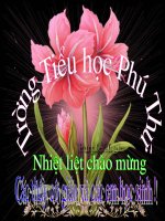 Toán 1- Tiết 112: Phép trừ trong phạm vi 100