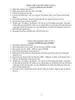 Công việc trong tuần_năm học 2008-2009