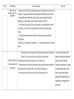 Chuẩn KT- KN Lịch sử 5