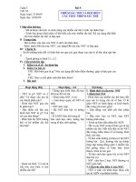 Bài 5, tiết 5: NST  ĐỘT BIẾN CẤU TRÚC NST