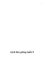 GA lơp1 tuần 8 - 2010