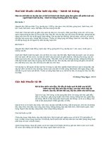 Hai bài thuốc chữa loét dạ dày