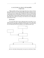 CƠ CẤU CHO CÁC CÔNG TY VỐN MẠO HIỂM Ở VIỆT NAM