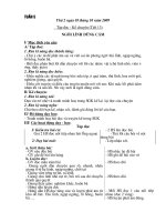 giao an lop 3 cuc hay