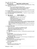 Kế hoạch tuần CD Ban than 5-6 t