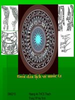 Sử 6: Thời nguyên thủy trên đất nước ta