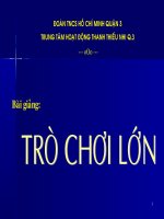 PHƯƠNG THỨC TỔ CHỨC TRÒ CHƠI LỚN