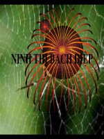 bai 35. Moi truong song va cac nhan to sinh thai