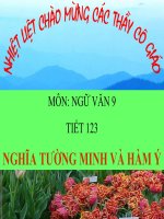 NGHĨA TƯỜNG MINH VÀ HÀM Ý