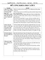 ĐỀ CƯƠNG HOÀN CHỈNH KHOA HỌC LỚP 5