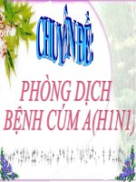 chuyên đề phòng chống cúm A1HN1