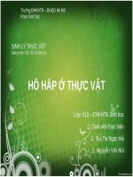 Hô hấp thực vật