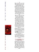 HUYỀN THOẠI VỀ NGUYỄN TRÃI VÀ NGUYỄN THỊ LỘ