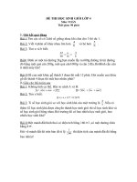 Đề thi HS giỏi lớp 4