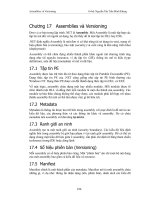 Assemblies và Versioning