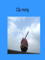 CẦU MONG