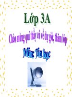 Bài giảng: Người bạn mới của em (quyển 1)