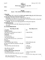 GA tuan 8 lớp 4 năm 2010-2011