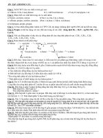 BT C5,6. HC NO, KHÔNG NO