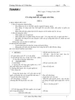 Giáo  án lớp 2, tuần 1 năm học 2009-2010