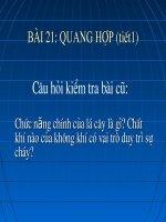Bai 21_Quang hop