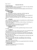 Trả bài voết số 1