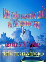 Phần lớn nước vào cây đi đâu?