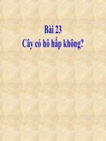 Bai 23_Cay co ho hap khong