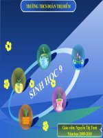 Bài 2-tiết 2 : LAI MỘT CẶP TÍNH TRẠNG