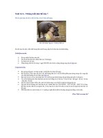 NUÔI TRẺ 6 - 9 THÁNG TUỔI