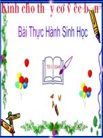 Bai TH tim hieu ve HIV