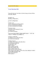 bài viết ccnp ppp callback