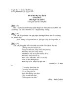 Đề thi thử Đại học lần II (Năm 2013) Môn Ngữ Văn khối C