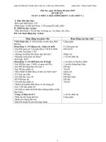 Kĩ thuật lớp 5 Mới nhất CKT năm 2010-2011