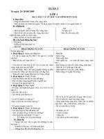 GA Mi thuat lớp 1-5 tuần 3