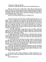 LOI TUYEN THE CUA DANG VIEN MOI