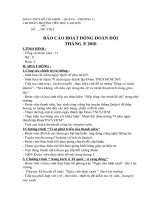 Báo cáo  đội tháng 3/2010