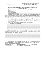 mẫu chiến sĩ thi đua