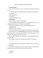 Chương trình HK Phù Đổng