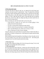 BỐI CẢNH KINH DOANH CỦA CÔNG TY SCOM