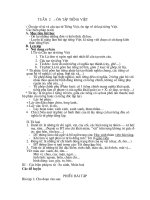 Ôn tập NV 7 Tuần 2