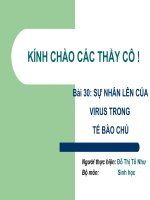 Bài 30=b44 SH 10. Nhu