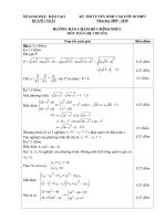 De thi Tuyen sinh lop 10 nam hoc 2009-2010 - Toan chuyen