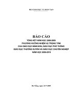 Báo cáo tổng kết năm học 2008-2009