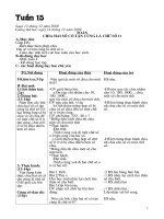 Tuần 15-16 lớp 4 (3 cột)