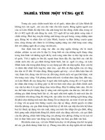 NGHĨA TÌNH MỘT VÙNG QUÊ.doc